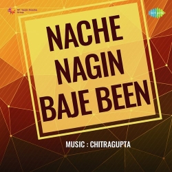 Gori Nagin Banke Na Chala Karo  Mp3 Song